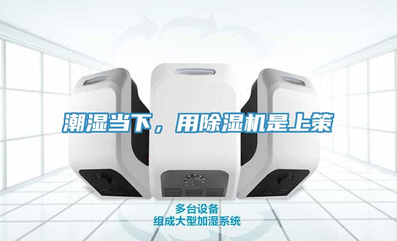潮濕當(dāng)下，用除濕機(jī)是上策