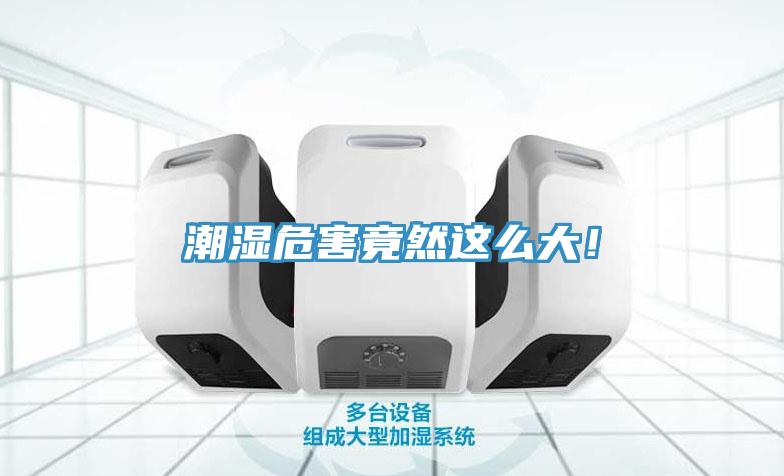 潮濕危害竟然這么大！