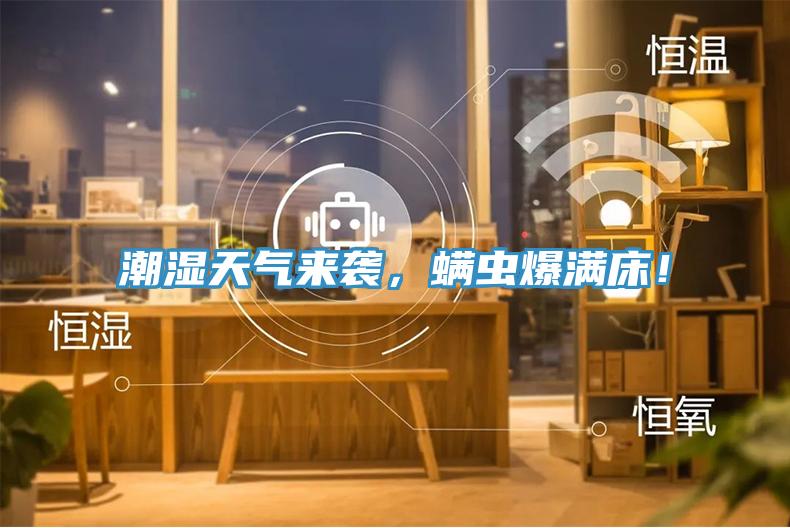 潮濕天氣來襲，螨蟲爆滿床！