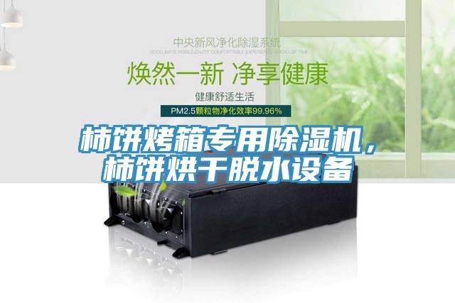 柿餅烤箱專用除濕機(jī)，柿餅烘干脫水設(shè)備