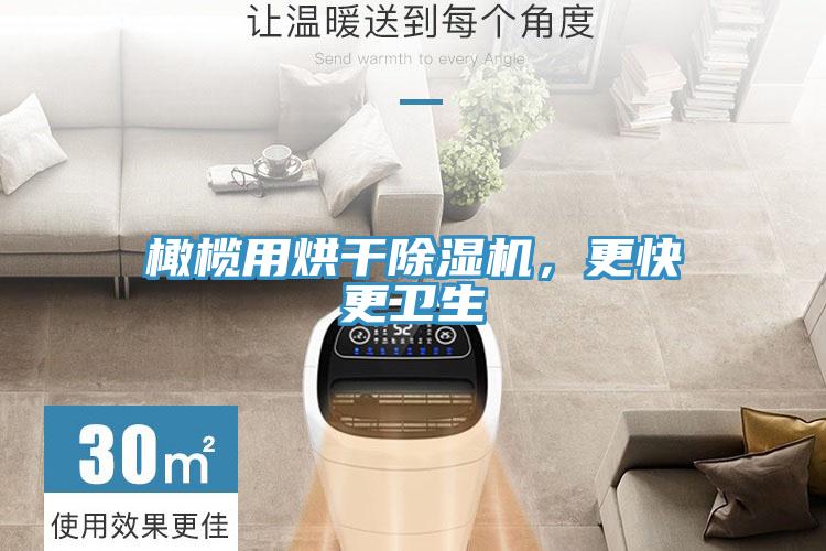 橄欖用烘干除濕機(jī)，更快更衛(wèi)生