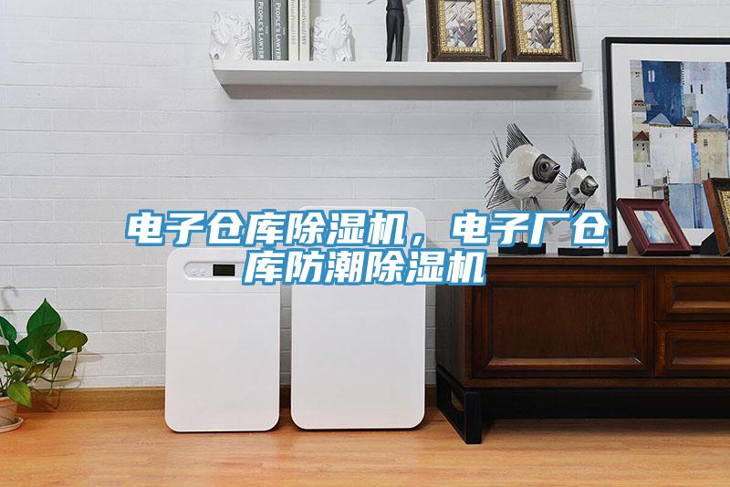 電子倉(cāng)庫(kù)除濕機(jī)，電子廠倉(cāng)庫(kù)防潮除濕機(jī)