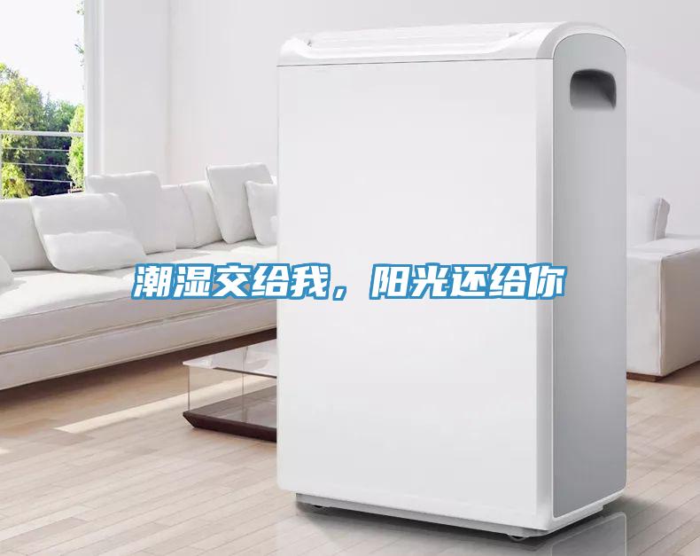 潮濕交給我，陽光還給你