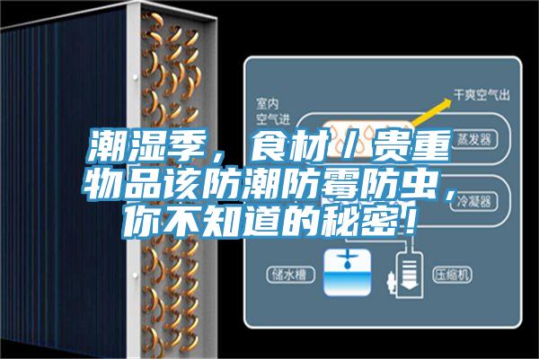 潮濕季，食材／貴重物品該防潮防霉防蟲，你不知道的秘密！