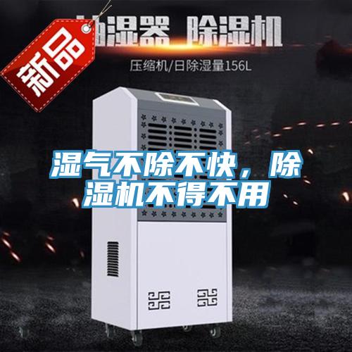 濕氣不除不快，除濕機(jī)不得不用