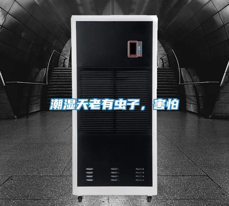 潮濕天老有蟲子，害怕