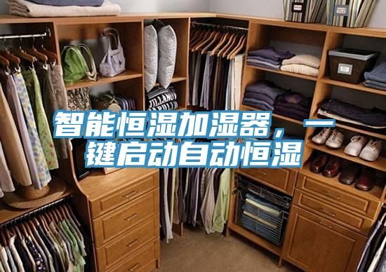 智能恒濕加濕器，一鍵啟動自動恒濕