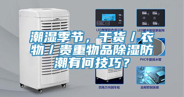 潮濕季節(jié)，干貨／衣物／貴重物品除濕防潮有何技巧？