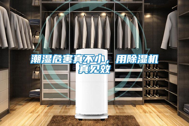 潮濕危害真不小，用除濕機真見效
