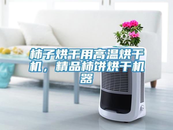柿子烘干用高溫烘干機(jī)，精品柿餅烘干機(jī)器