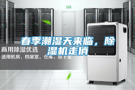 春季潮濕天來臨，除濕機(jī)走俏