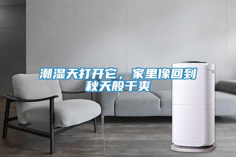 潮濕天打開它，家里像回到秋天般干爽