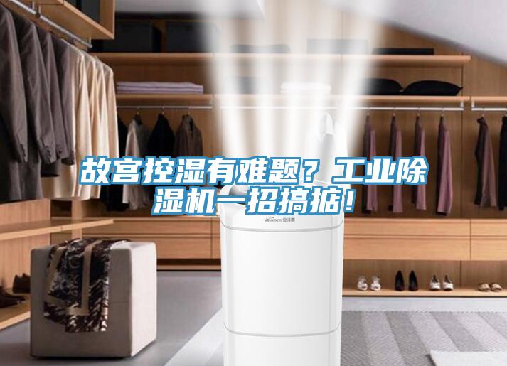 故宮控濕有難題？工業(yè)除濕機(jī)一招搞掂！