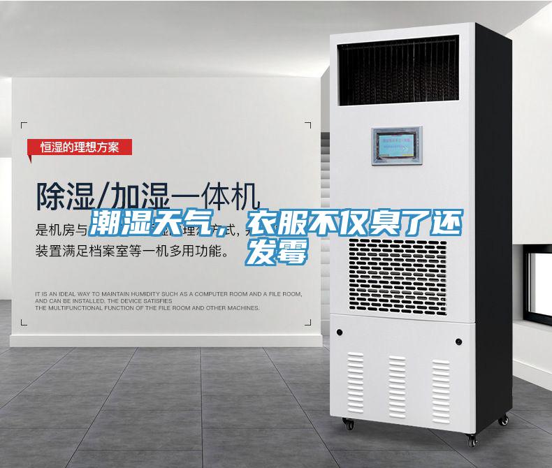 潮濕天氣，衣服不僅臭了還發(fā)霉