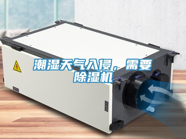 潮濕天氣入侵，需要除濕機