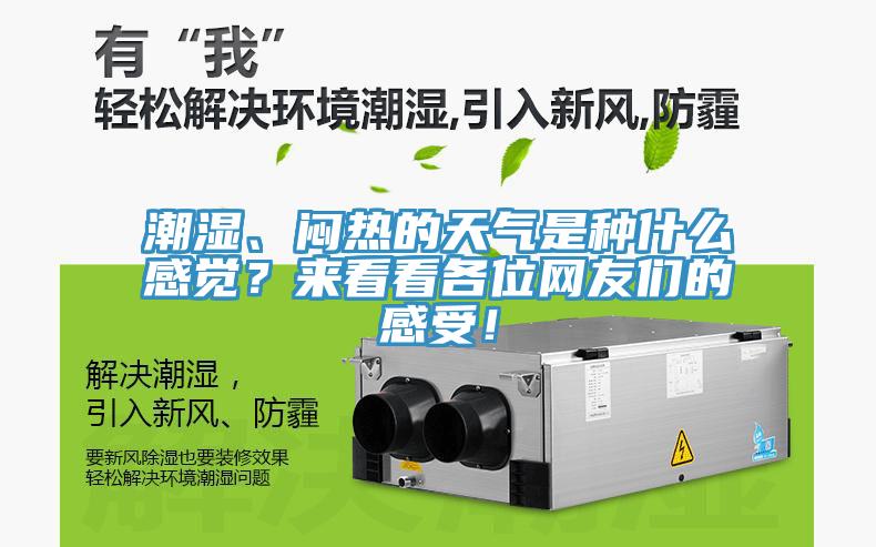 潮濕、悶熱的天氣是種什么感覺？來看看各位網(wǎng)友們的感受！