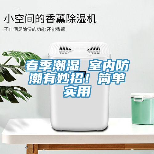 春季潮濕 室內(nèi)防潮有妙招！簡(jiǎn)單實(shí)用