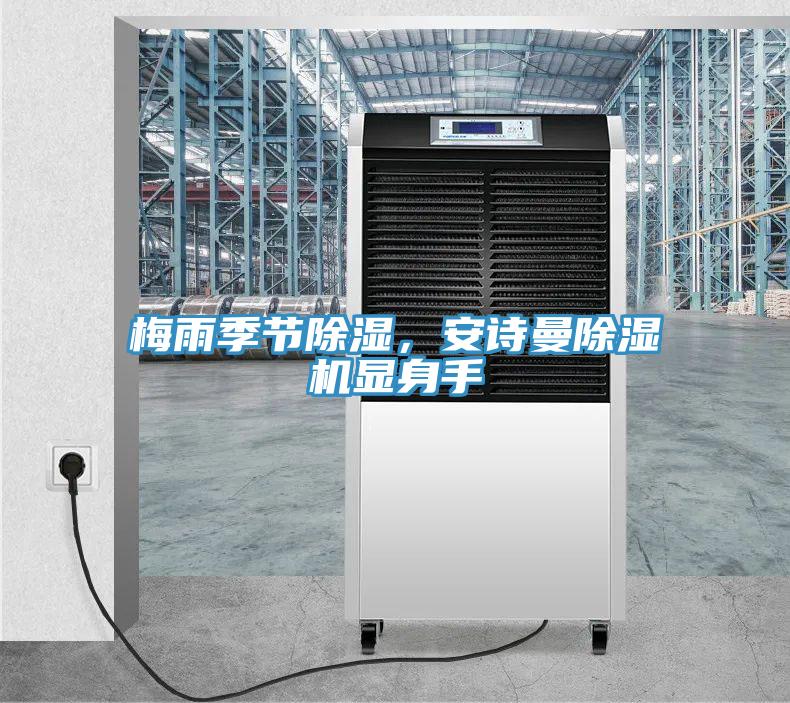 梅雨季節(jié)除濕，安詩曼除濕機(jī)顯身手