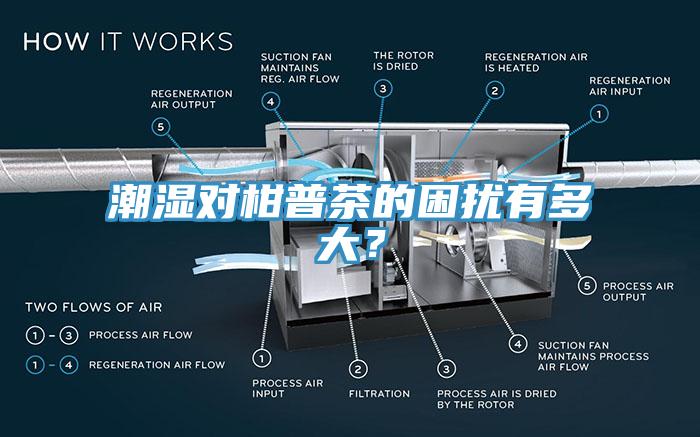 潮濕對柑普茶的困擾有多大？
