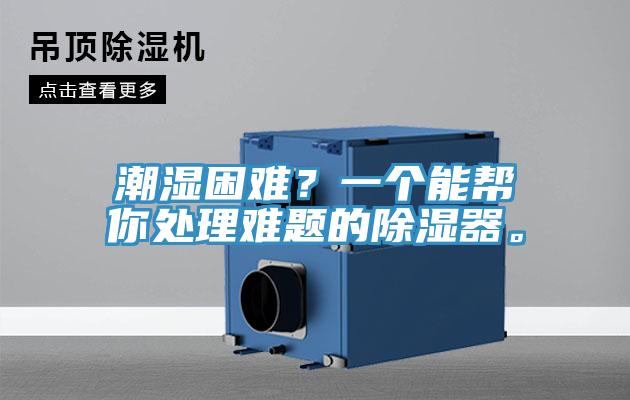 潮濕困難？一個能幫你處理難題的除濕器。
