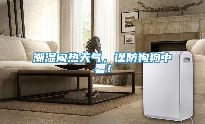 潮濕悶熱天氣，謹(jǐn)防狗狗中暑！