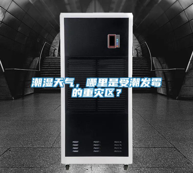 潮濕天氣，哪里是受潮發(fā)霉的重災(zāi)區(qū)？