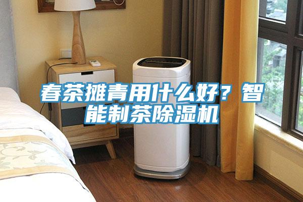 春茶攤青用什么好？智能制茶除濕機(jī)