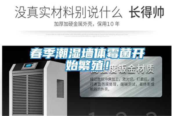 春季潮濕墻體霉菌開始繁殖！