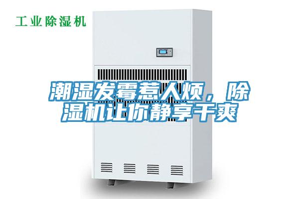 潮濕發(fā)霉惹人煩，除濕機讓你靜享干爽