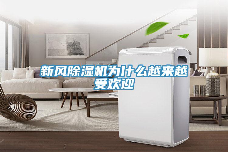 新風(fēng)除濕機(jī)為什么越來(lái)越受歡迎