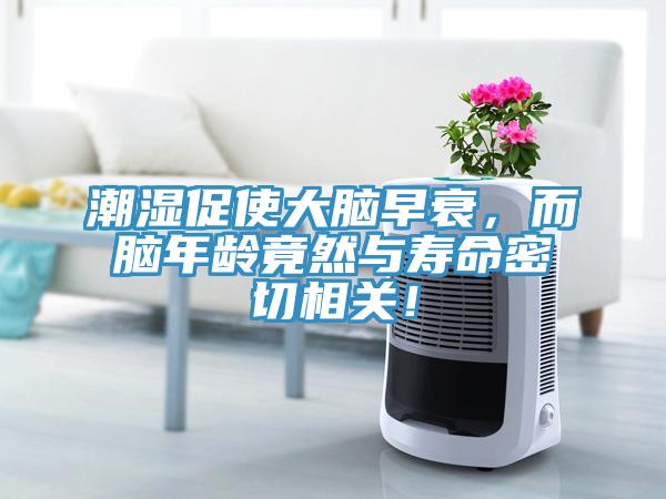 潮濕促使大腦早衰，而腦年齡竟然與壽命密切相關！