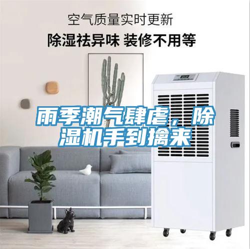 雨季潮氣肆虐，除濕機手到擒來
