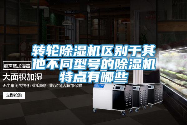 轉(zhuǎn)輪除濕機區(qū)別于其他不同型號的除濕機特點有哪些