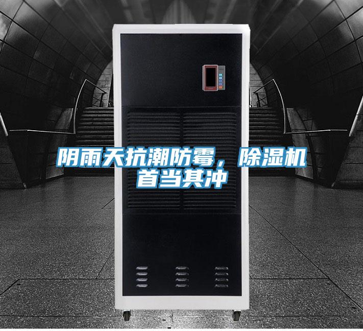 陰雨天抗潮防霉，除濕機(jī)首當(dāng)其沖