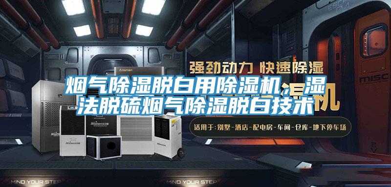 煙氣除濕脫白用除濕機(jī)，濕法脫硫煙氣除濕脫白技術(shù)