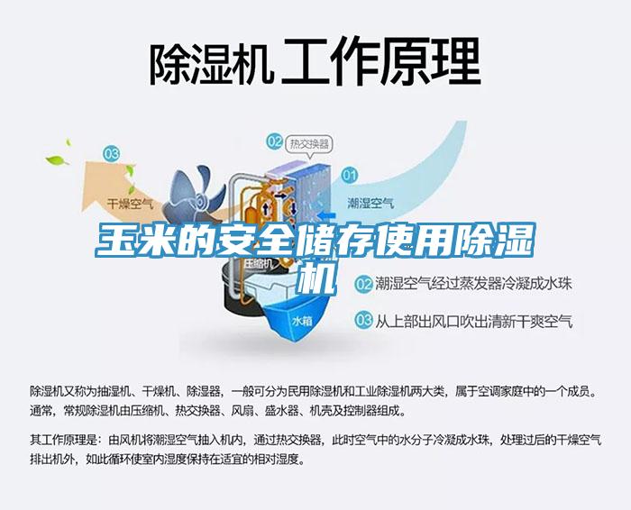 玉米的安全儲(chǔ)存使用除濕機(jī)