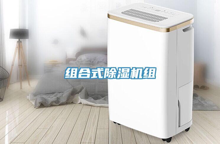 組合式除濕機(jī)組