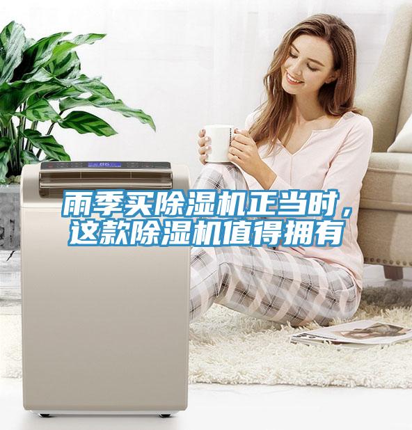 雨季買除濕機正當時，這款除濕機值得擁有