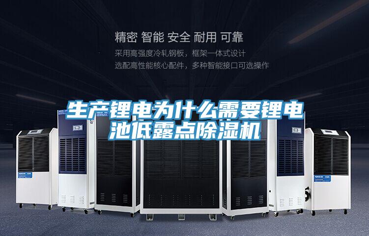 生產(chǎn)鋰電為什么需要鋰電池低露點(diǎn)除濕機(jī)