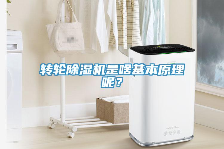 轉(zhuǎn)輪除濕機(jī)是啥基本原理呢？