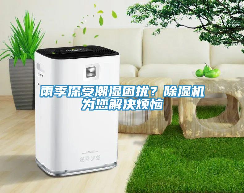 雨季深受潮濕困擾？除濕機為您解決煩惱