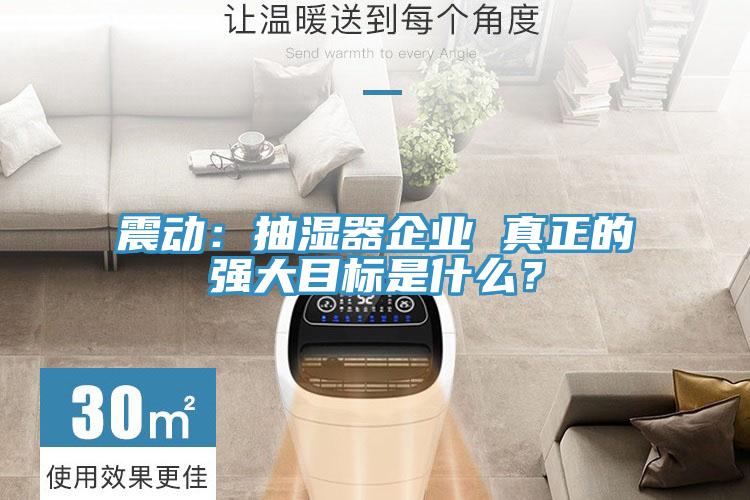 震動：抽濕器企業(yè) 真正的強大目標是什么？