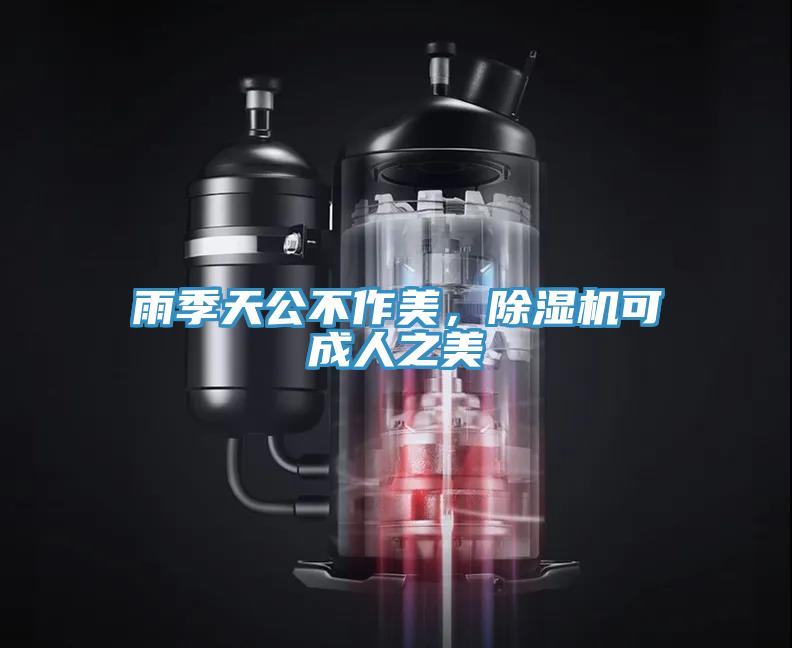 雨季天公不作美，除濕機可成人之美