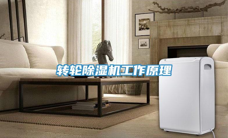 轉(zhuǎn)輪除濕機工作原理