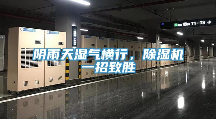 陰雨天濕氣橫行，除濕機(jī)一招致勝