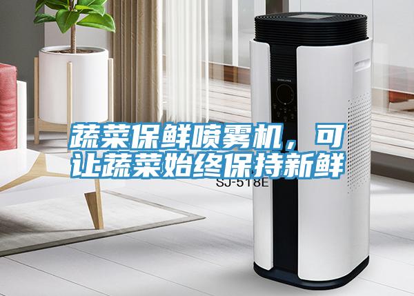 蔬菜保鮮噴霧機，可讓蔬菜始終保持新鮮