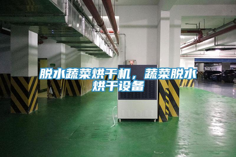 脫水蔬菜烘干機，蔬菜脫水烘干設備