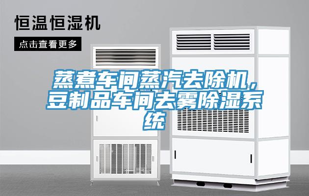 蒸煮車間蒸汽去除機(jī)，豆制品車間去霧除濕系統(tǒng)