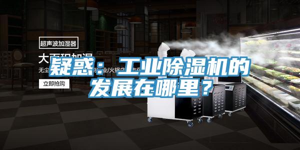 疑惑：工業(yè)除濕機(jī)的發(fā)展在哪里？