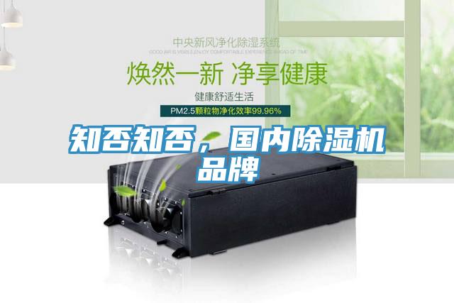 知否知否，國內(nèi)除濕機品牌